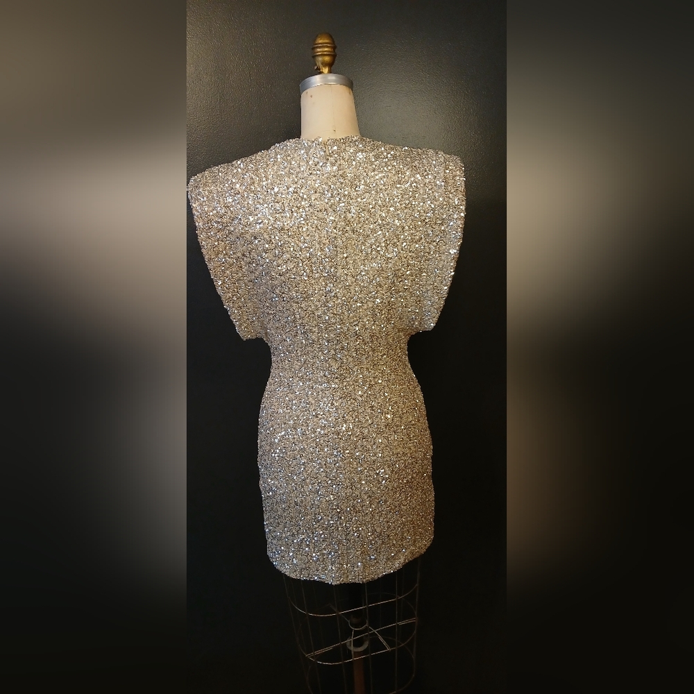 Zara Sequin Dress - Picture 10 of 10
